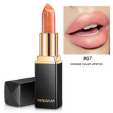 Brand Professional Lips Makeup Waterproof Shimmer Long Lasting Pigment Nude Lipstick
