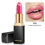 Brand Professional Lips Makeup Waterproof Shimmer Long Lasting Pigment Nude Lipstick